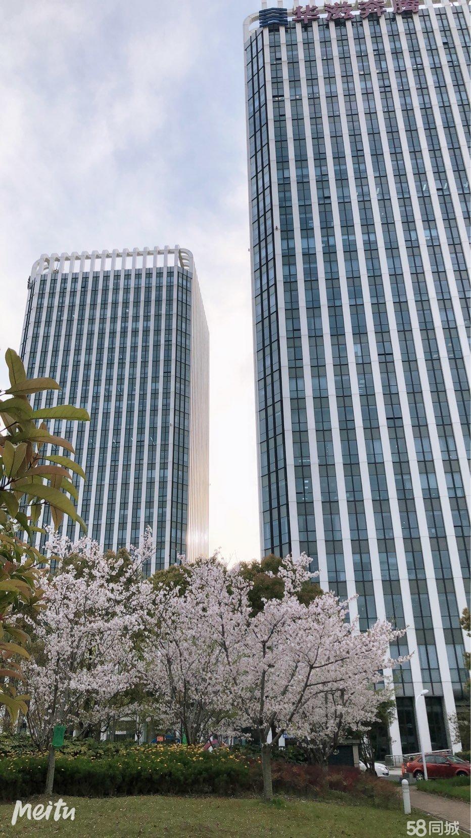 華滋奔騰大廈寫字樓出租,華滋奔騰大廈,5a甲花園寫字樓—上海寶山區(qū)辦