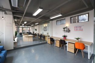 186號 186號的分類