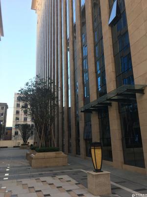 【塘廈廠房出租】塘廈鎮新出原房東標準廠房2000平方帶寫字樓招租