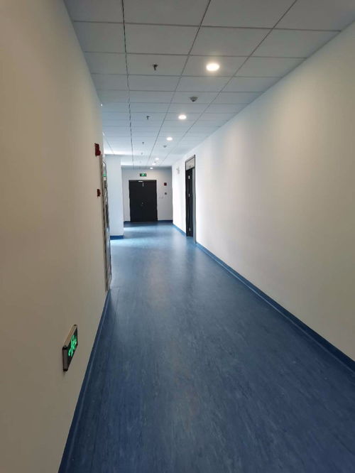 上海紫萍路百級細胞實驗室全解析 210平米寫字樓租售指南